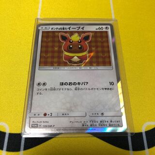 ポンチョを着たイーブイ