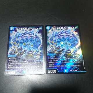 水上第九院 シャコガイル