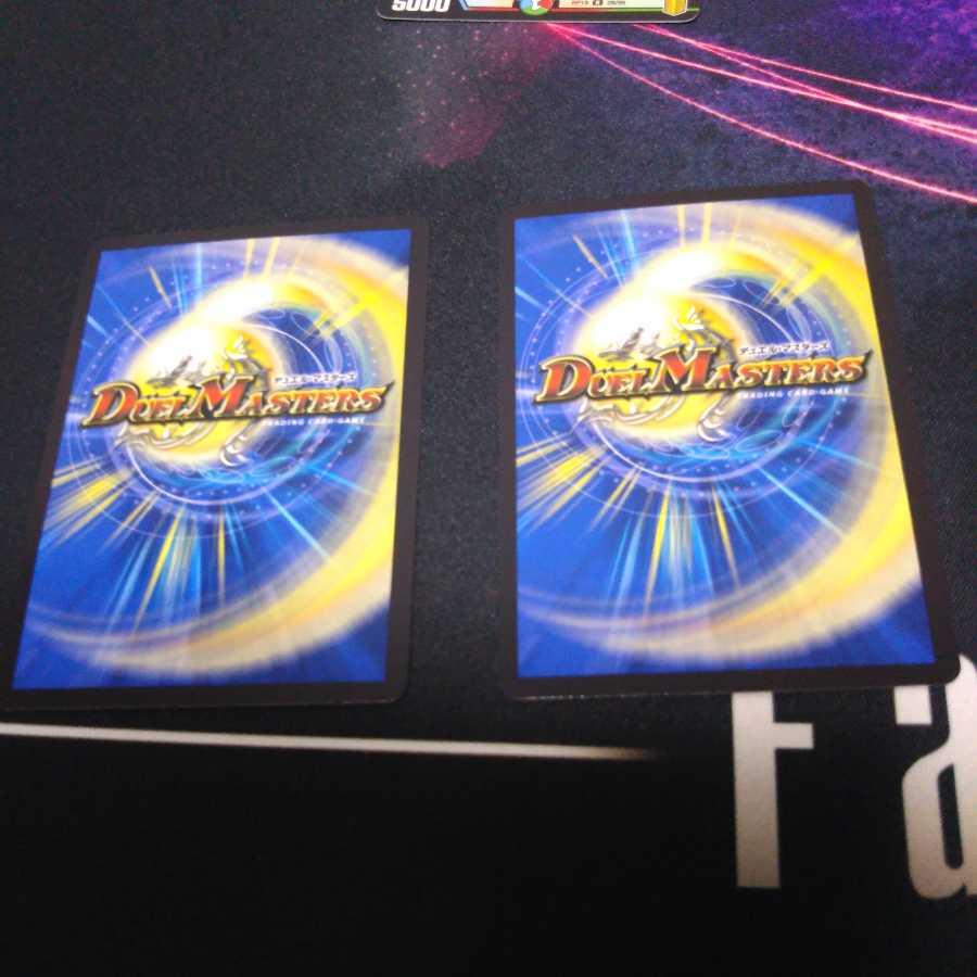 煌星龍 サッヴァーク サッヴァーク<マン.star>