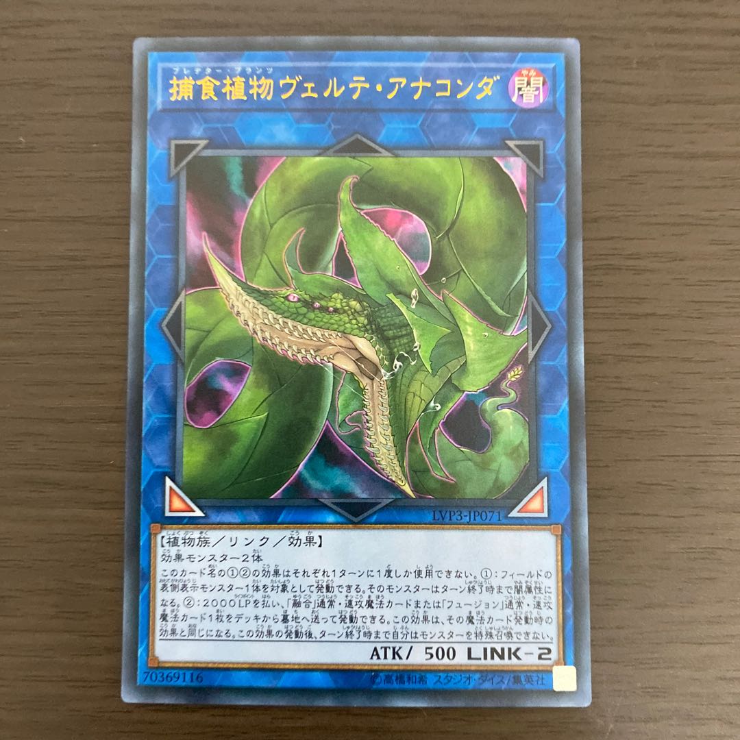 捕食植物ヴェルテ・アナコンダ ウルトラレア