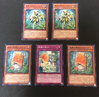 Multiple simultaneous purchase shipping discount Yu-Gi-Oh! Forest Luo Deck Parts Set (2)