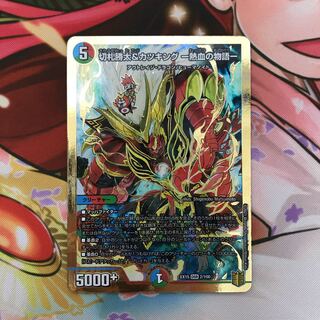 切札勝太&カツキング -熱血の物語-