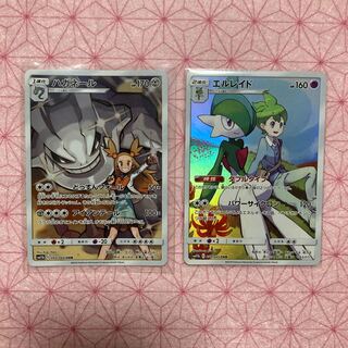 ハガネール、エルレイド CHR