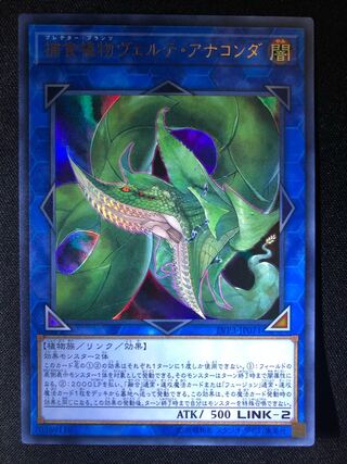 遊戯王 アナコンダ」の激安通販 | magi