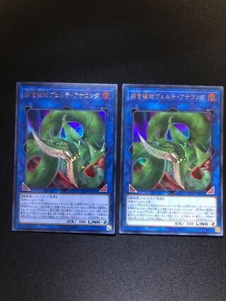 遊戯王　捕食植物ヴェルテ・アナコンダ 2枚セット　UR