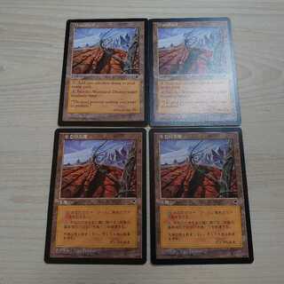 mtg 不毛の大地 4枚