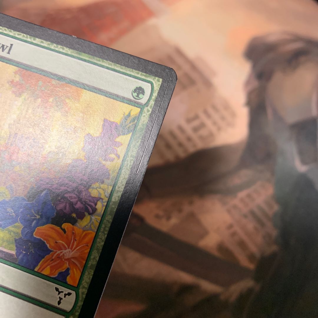 【DIS】楽園の拡散(英)3枚