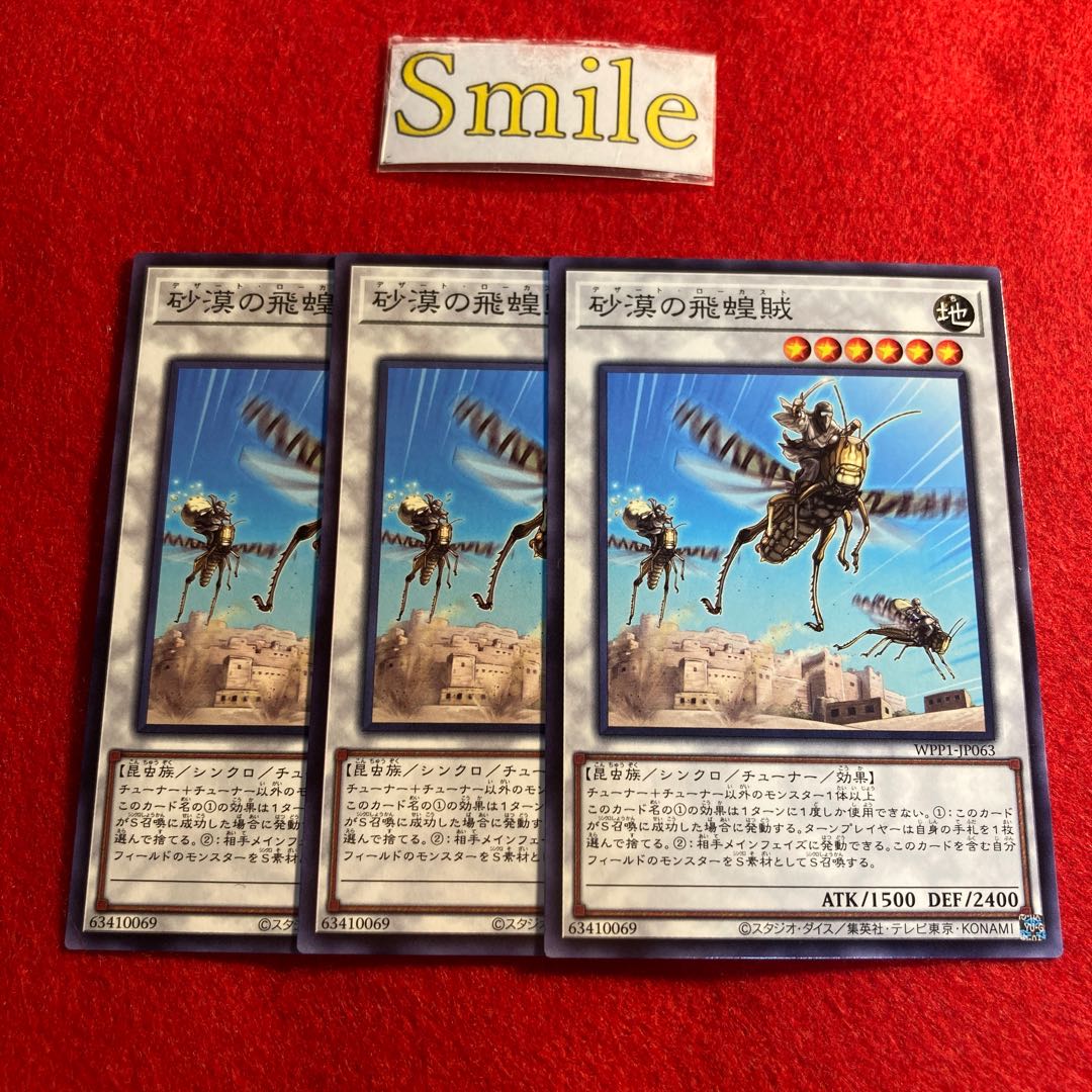 砂漠の飛蝗賊#1102