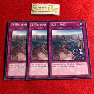 Imperial Iron Wall#1110