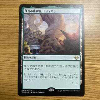 成長の揺り篭、ヤヴィマヤ