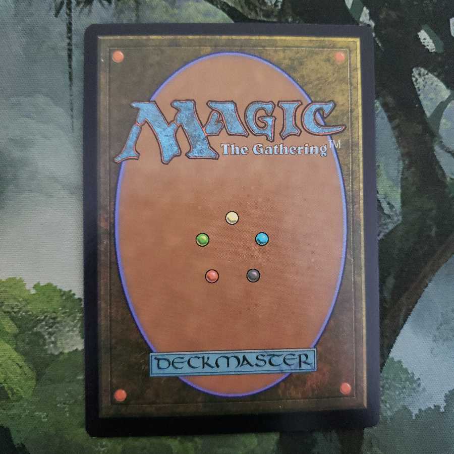 致命的なはしゃぎ回り【日本語】【C20】