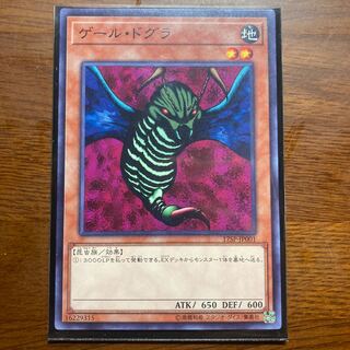 ゲール・ドグラ