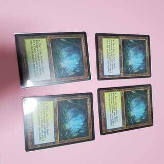 Mtg Misty Rainforest Old Frame Set of 3