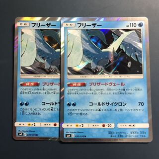 フリーザー ブリザードヴェール 2枚セット 2枚