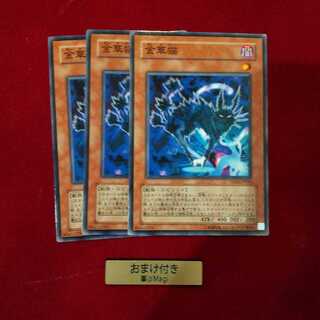 金華猫 ノーマル