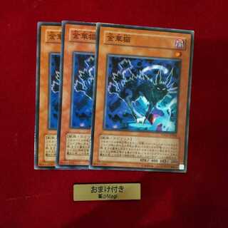 金華猫 ノーマル