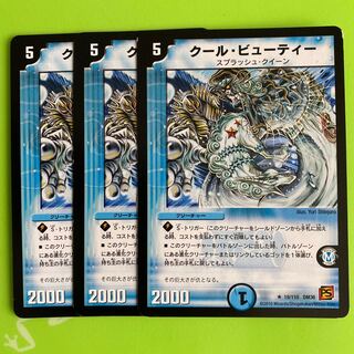 クール・ビューティー