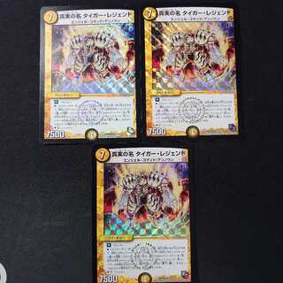 真実の名 タイガー・レジェンド　3枚