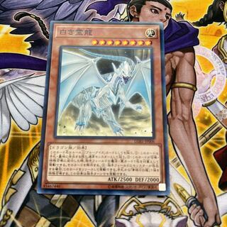 ◉白き霊龍 パラレル ノーマル