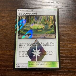 ライフフォレスト PR