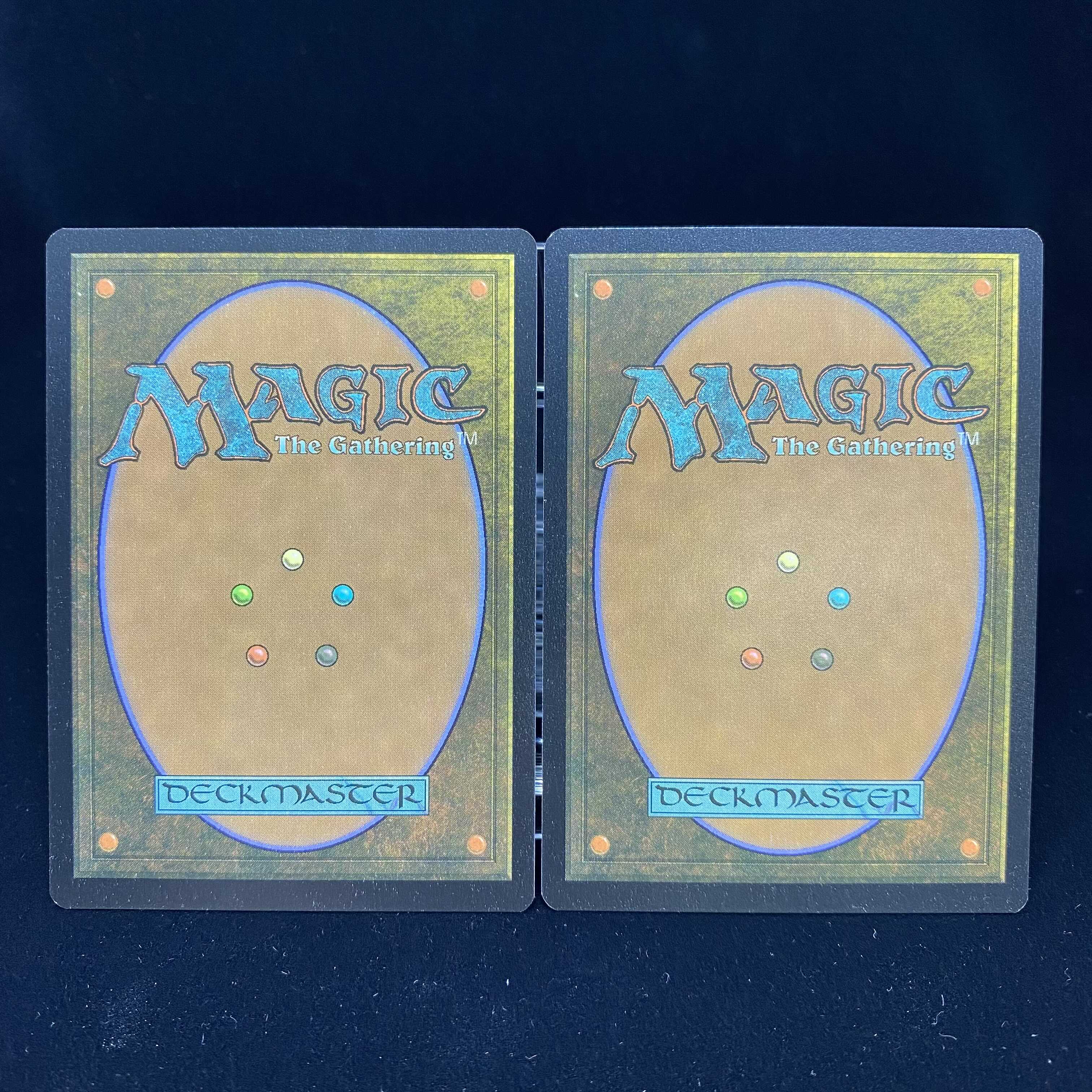 Windswept Heath English foil ZNE EXP Expedition 2 cards