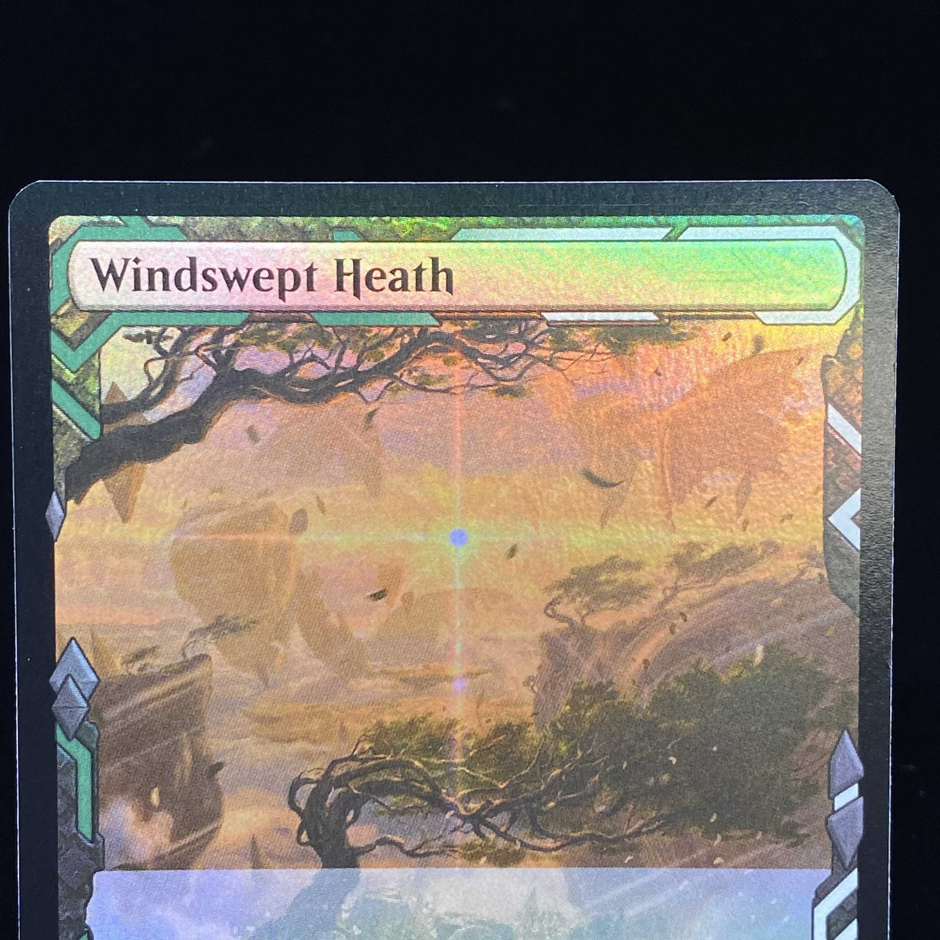 Windswept Heath English foil ZNE EXP Expedition 2 cards