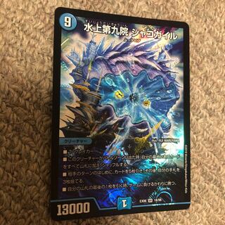 シャコガイル 1枚