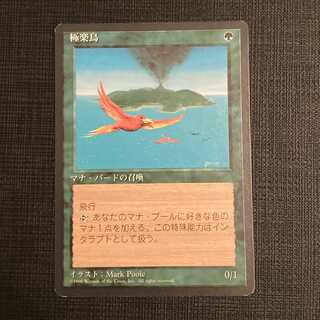 4ED【極楽鳥】日本語 黒枠 1枚