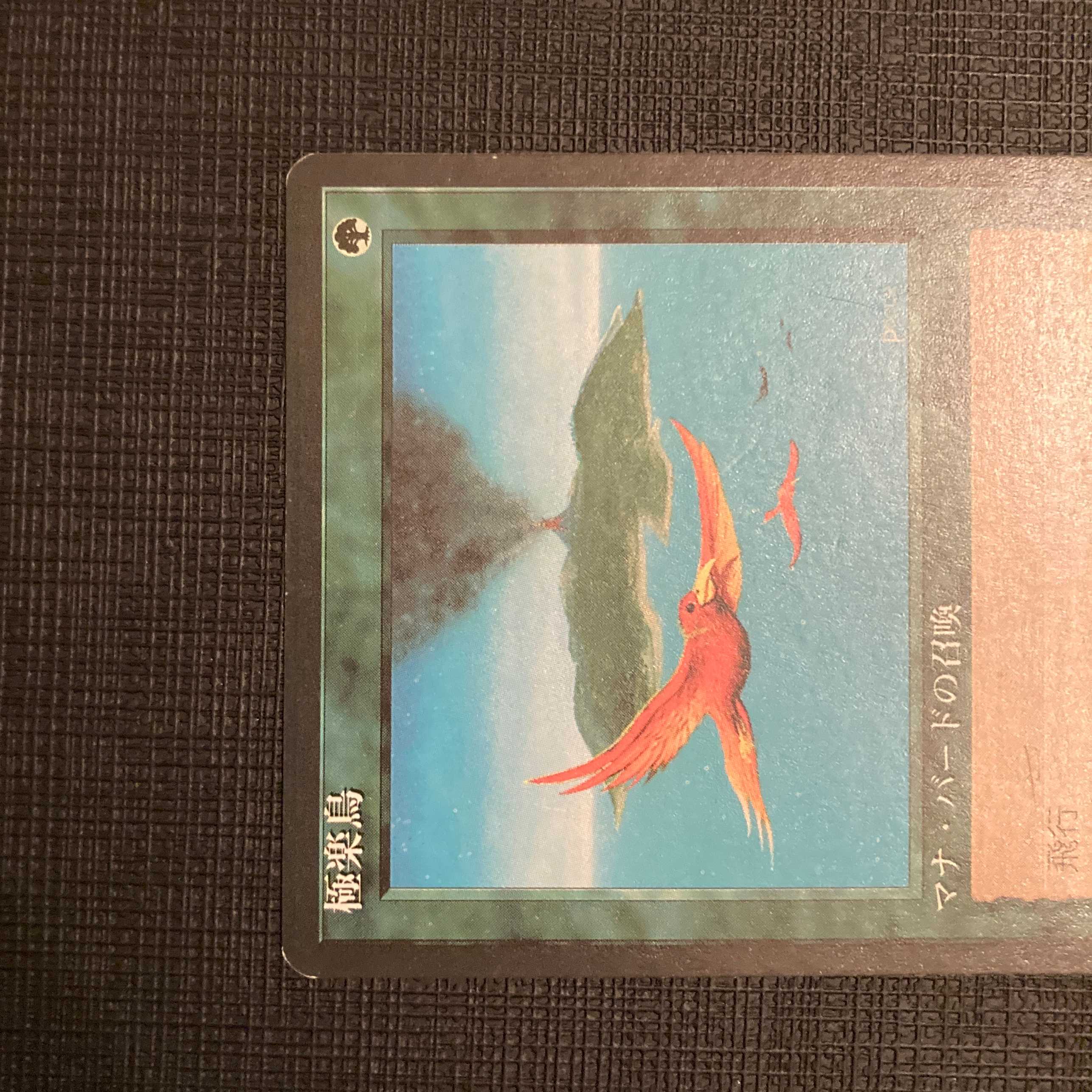 4ED【極楽鳥】日本語 黒枠 1枚