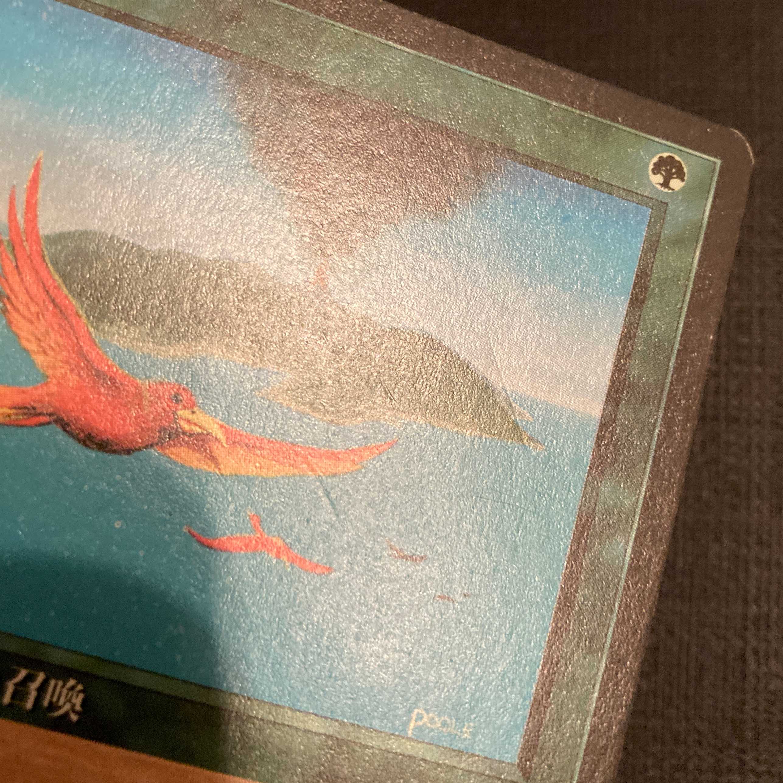 4ED【極楽鳥】日本語 黒枠 1枚