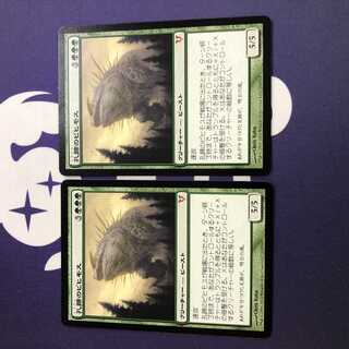 孔蹄のビヒモス AVR 2枚