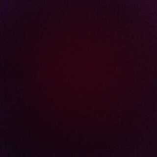 専用 トキワの森2枚