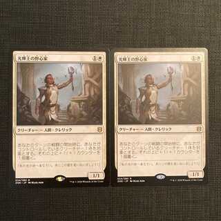 ZNR【光輝王の野心家】日本語 2枚セット