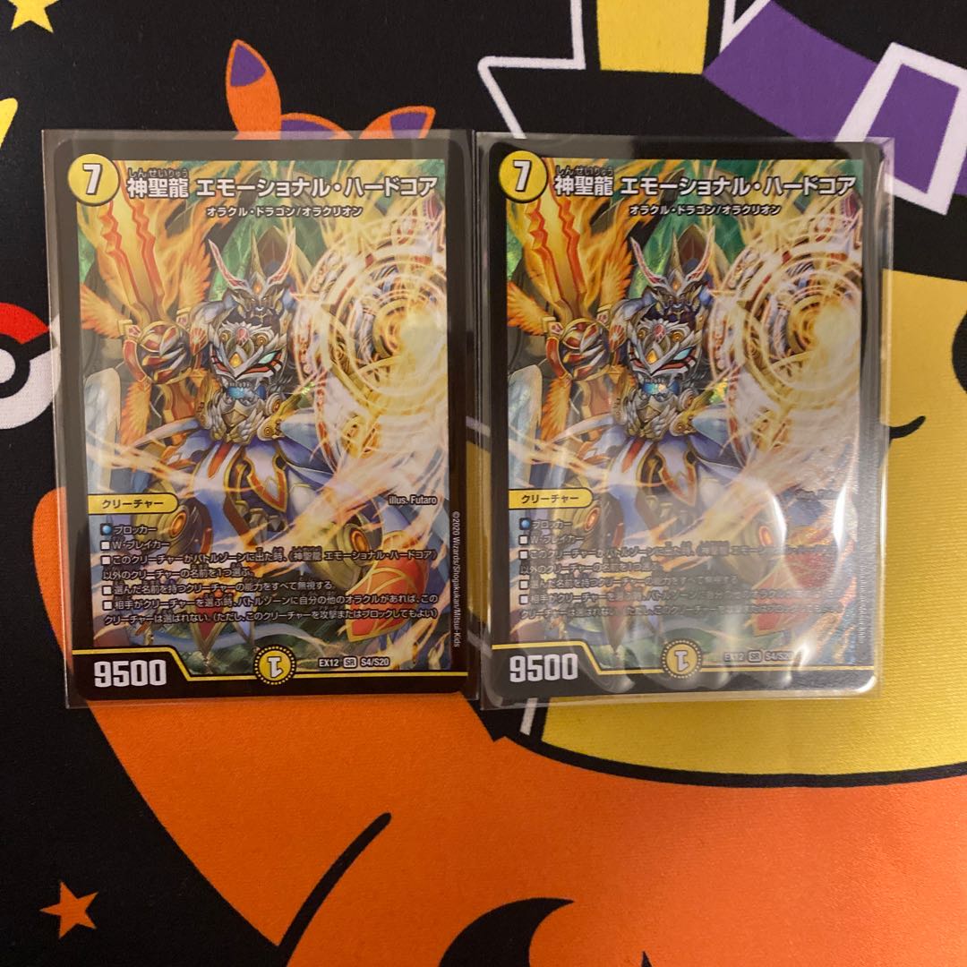 神聖龍 エモーショナル・ハードコア