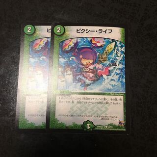 ピクシー・ライフ C