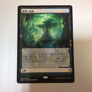 （微キズ）霧深い雨林　ZNE