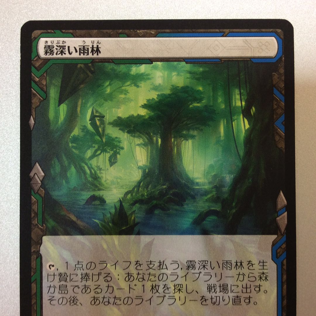 (微キズ)霧深い雨林 ZNE
