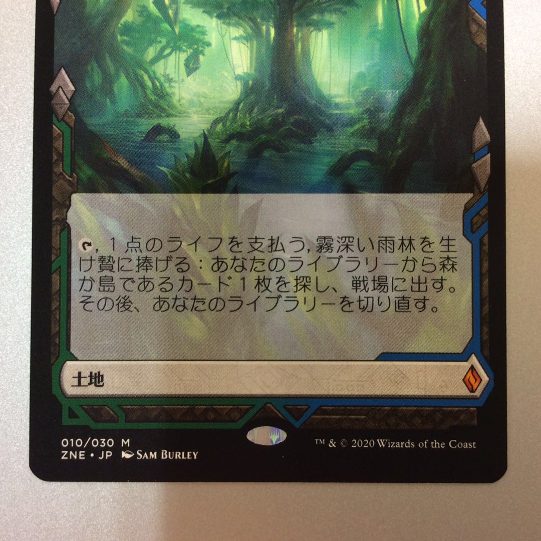 (微キズ)霧深い雨林 ZNE