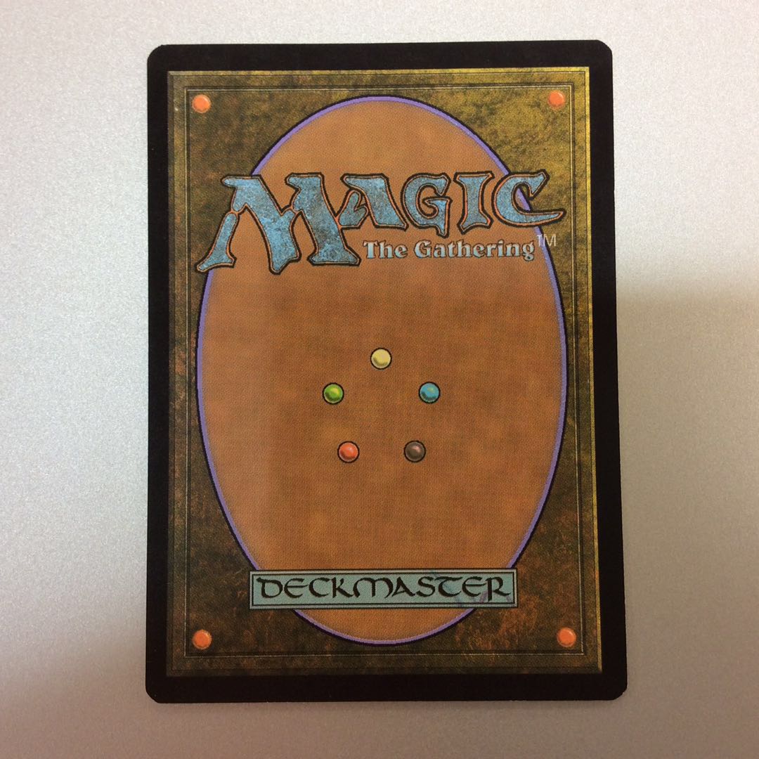 (微キズ)霧深い雨林 ZNE