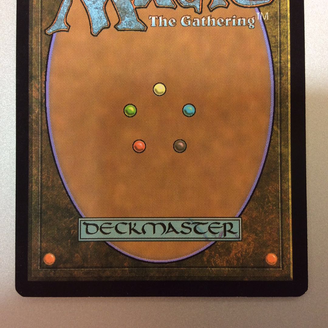 (微キズ)霧深い雨林 ZNE