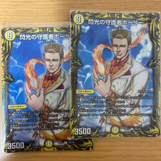 閃光の守護者ホーリー