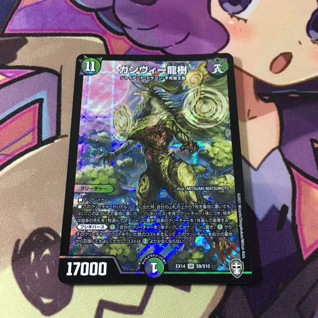 ガンヴィー龍樹