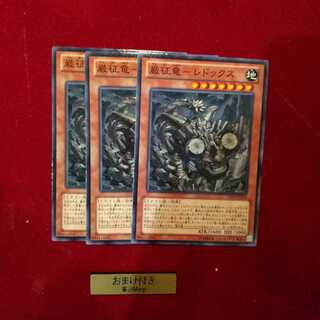 巌征竜-レドックス ノーマル