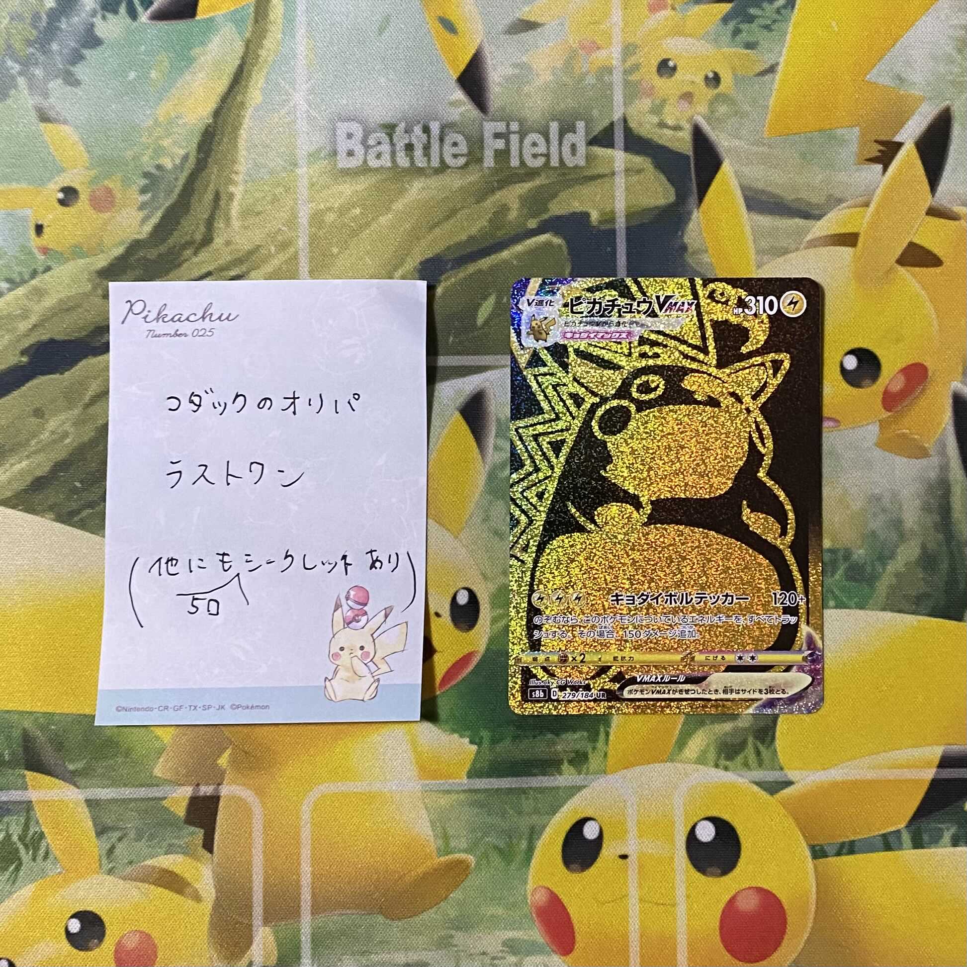 [For Orders] Vol. 12, 1250 yen Oripa, 80 units