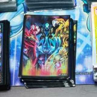 ぱとらし様専用