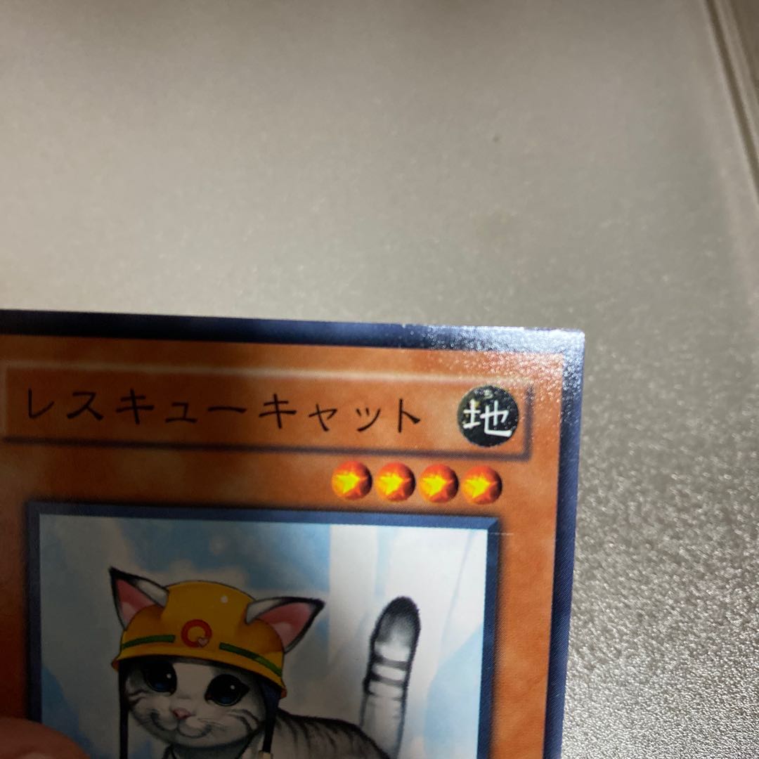 レスキューキャットノーマル 1枚