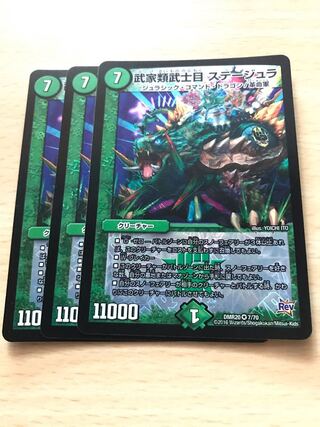 武家類武士目 ステージュラ VR