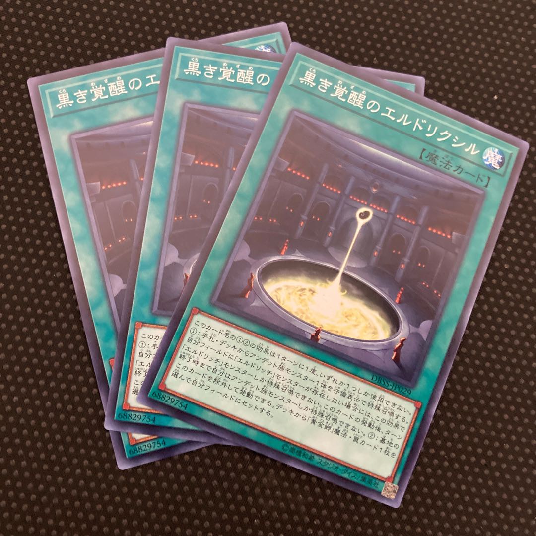 黒き覚醒のエルドリクシル