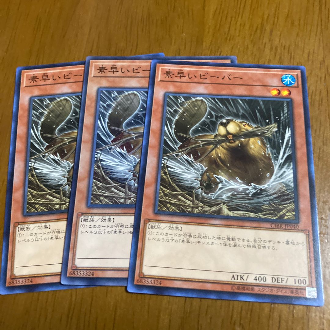 はしもと様専用出品