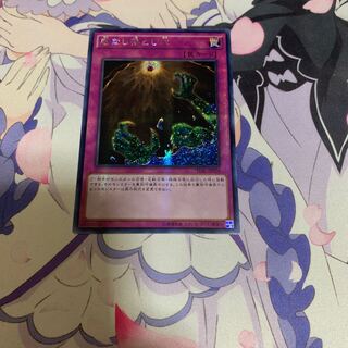 底なし落とし穴　アジアシークレット